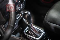 جيب رينيجيد